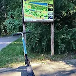 Drewno I Morze Gdańsk