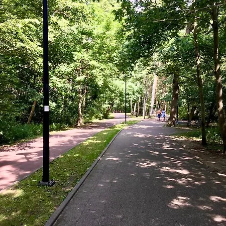 Drewno I Morze Διαμέρισμα