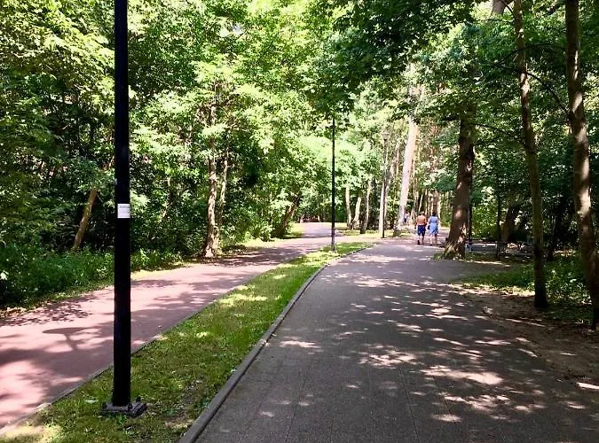 Drewno I Morze Appartement