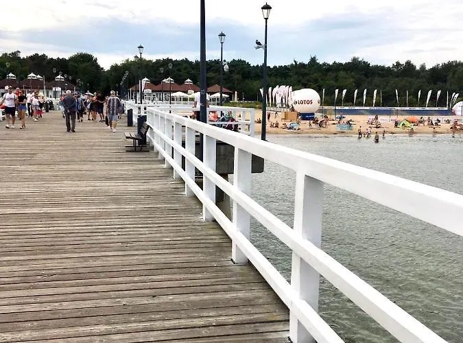 Drewno I Morze Daire