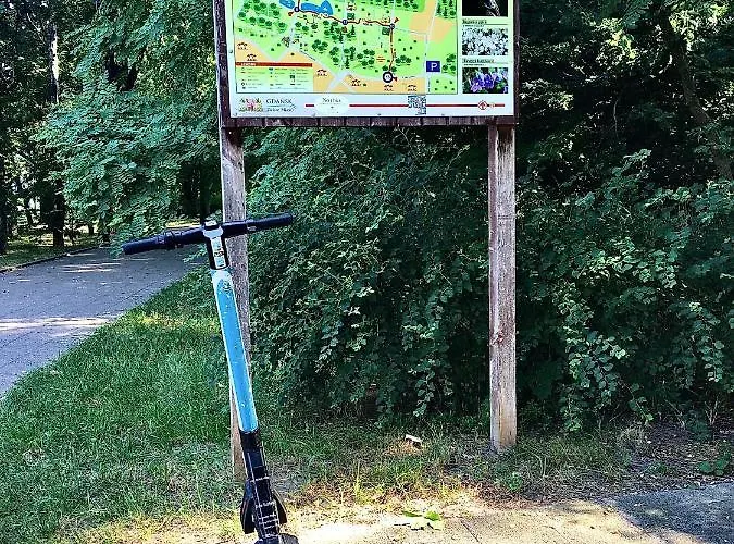 Drewno I Morze Gdańsk