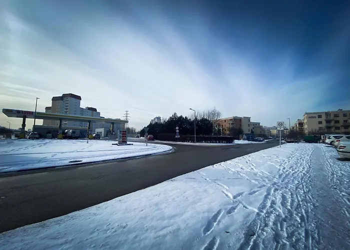 Daire Drewno I Morze